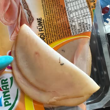 Pınar Et ve Süt Ürün İçerisinde Sinek Bulunması