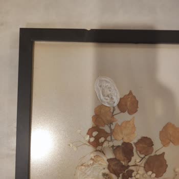 Simurg Sanat Evi Para İadesi Talebi