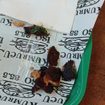 Kumrucu İso Yanık Ve İçinde 20 Gr Tavuk Olmayan Tavuk Şiş Menüsü