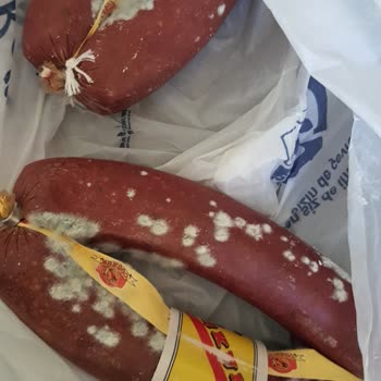 Coşkun Et Sucuk Küflenmesi