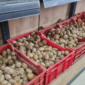 A101 Kotu Koku Ve Çürümüş Patates Satışta