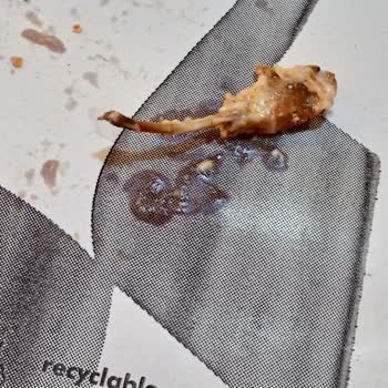 Sr Döner Dürümün İçinden Kemik Çıktı