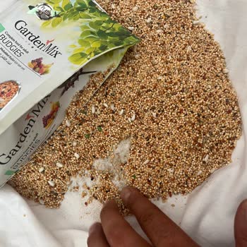 Pet Garden Petshop'tan Aldığım Yem Kokusu Hoşuma Gitmedi Ve İçinden Böcek Çıktı