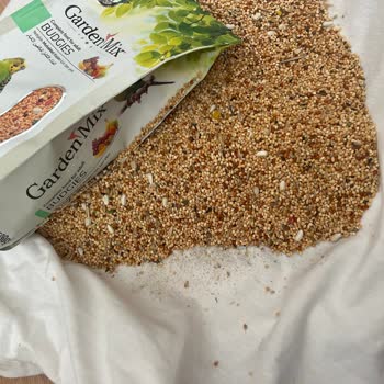 Pet Garden Petshop'tan Aldığım Yem Kokusu Hoşuma Gitmedi Ve İçinden Böcek Çıktı