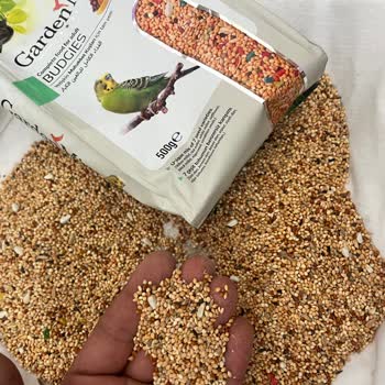 Pet Garden Petshop'tan Aldığım Yem Kokusu Hoşuma Gitmedi Ve İçinden Böcek Çıktı