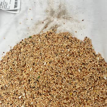 Pet Garden Petshop'tan Aldığım Yem Kokusu Hoşuma Gitmedi Ve İçinden Böcek Çıktı