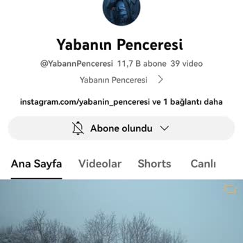 YouTube Yabancı Numaradan İstekler