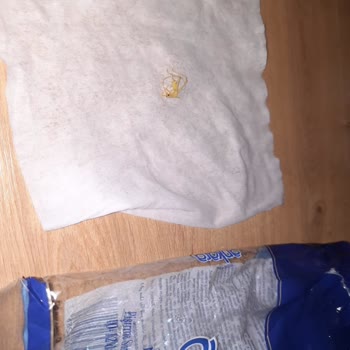 Nuh'un Ankara Makarnası Makarnadan Böcek Çıktı
