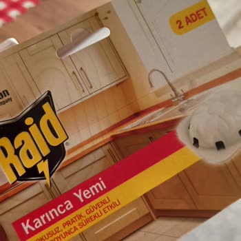 Raid Karınca Yemi İşe Yaramadı Destek Lütfen