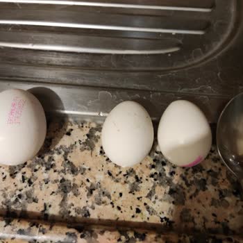 A101 İn Bitmeyen İstikrarsızlığı