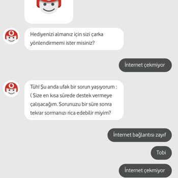 Vodafone Hattımda İnternet Çekmiyor