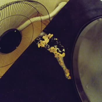 Temiz Mama Can Sağlığını Tehdit