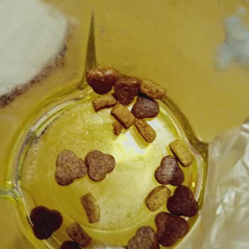 Temiz Mama Can Sağlığını Tehdit