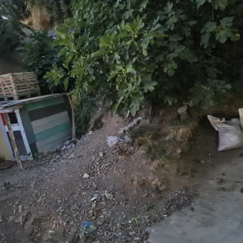 EyüpSultan Belediyesi Alibeyköy Eyup Belediye Şikayet