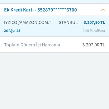 İyzico Açığı