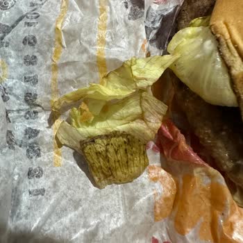 Burger King Çürümüş Marul Ve Yanmış Ekmek