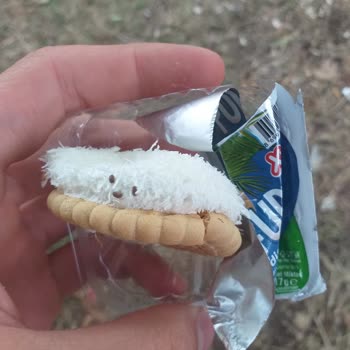 A101 Kapalı Paketten Böcek Çıkması