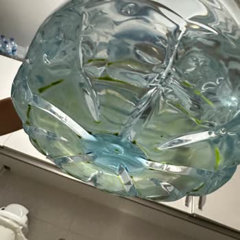 Pınar Su Ve İçecek Kapalı Ambalajda Yosunlanma