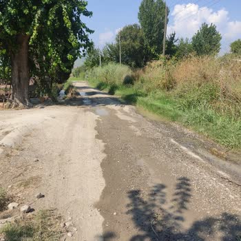 Seydikemer Belediyesi Asfalt Göçme Sorunu