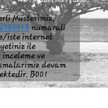 Türk Telekom Sabit İnternet Sorunu & Çıldırma Noktası!