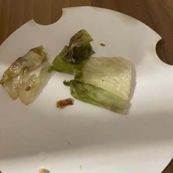 Burger King Çürük Marul ve Kova Söylememe Rağmen Yarısı Boş ve Çöp Olan Patates