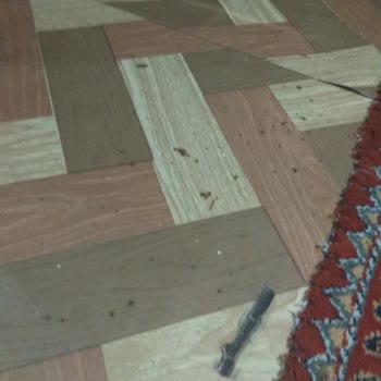 Ravpower Marka Powerbank Patladı Yanıyorduk