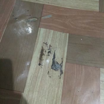 Ravpower Marka Powerbank Patladı Yanıyorduk