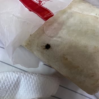 Adıyamanlı Çiğ Köfteci Erkan Usta Bilecik Bozüyük Şubesi Hijyen Sorunu!