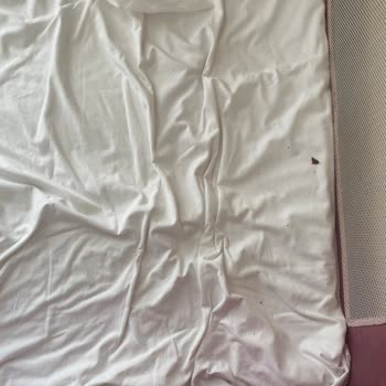 Stella Beach Hotelin Asla 5 Yıldızlı Olmayışı Ve Yetersizliği