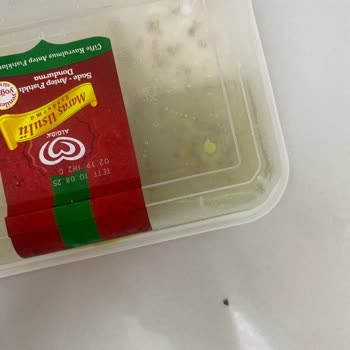 Algida Dondurmadan Taş Çıktı