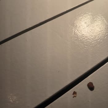 Xiaomi 12t Kamerada Beyaz Çizgiler