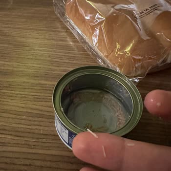 Dardanel Ton Balığından Kılçık Çıktı