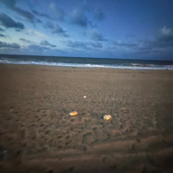Apple Kamera Geniş Açı Fotoğraf Ve Video Çekimlerimde Siyah Leke Çıkıyor