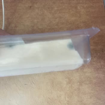 Tahsildaroğlu Son Tüketim Tarihi Geçmeyen Küflü Peynir