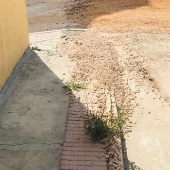 Eskişehir Büyükşehir Belediyesi Kaldırım Taşlarının Yapılmasını Talep Ediyoruz