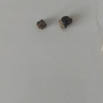 Acar Kuruyemiş Acar Marka Soslu Mısırdan Taş Çıktı