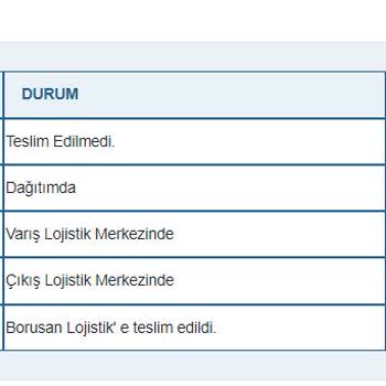 Borusan Lojistik 6 Gündür Siparişim Teslim Edilemedi.