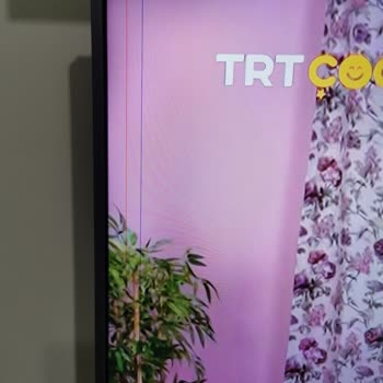 Alaylı Ticaret Arçelik Televizyon Sıfır Aldım Revizyonlu Çıktı