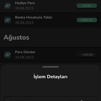 Nays Borç Ödeme Sorunu