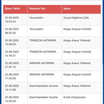Sürat Kargo 4 Gündür Dağıtımda