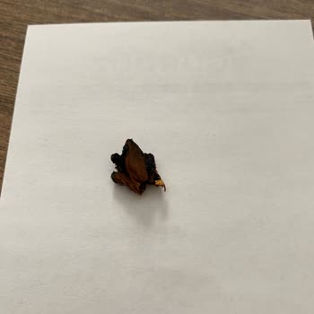 Marlboro Touch Blue Yabancı Cisim