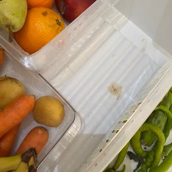 Bosch Buzdolabı Terleme Yapıyor