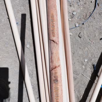 TRN Orman Ürünleri Çürük, Tornalanmamış Ürünler...