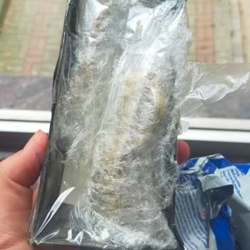 Wensaat (Instagram) Sipariş Verdiğim Üründen Çok Farklı Ürün Geldi.