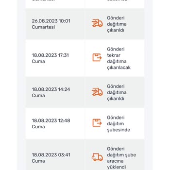 Düşük Sürat Kargo'nun Ciddiyetsizliği