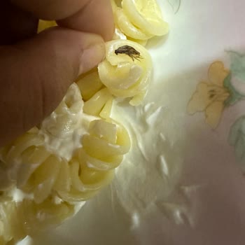 BİM Pasta Veneta Makarnada Böcek Skandalı