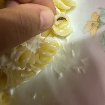 BİM Pasta Veneta Makarnada Böcek Skandalı
