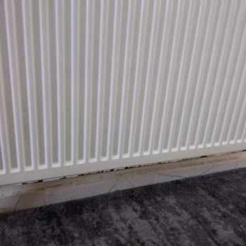 Garantisi Devam Eden Baymak Marka Petekler