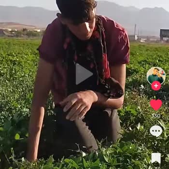 TikTok Videolarımı Paylaşan Biri