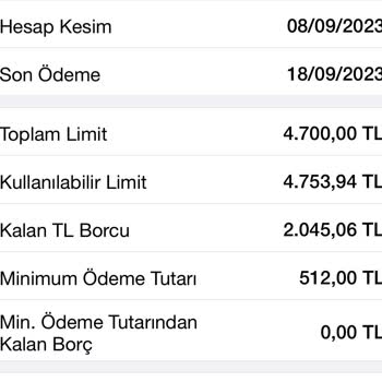 Garanti BBVA İadem Olmasına Rağmen Borç Görünüyor